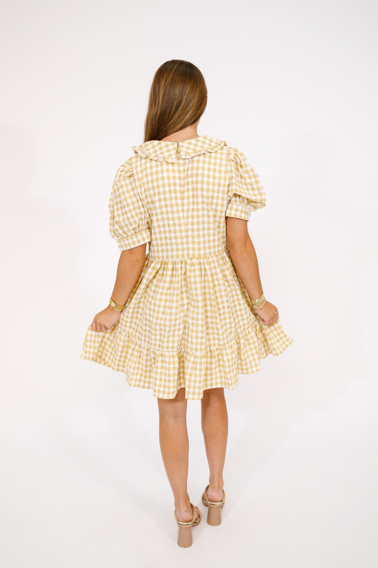 Beige Gingham Collar Dress