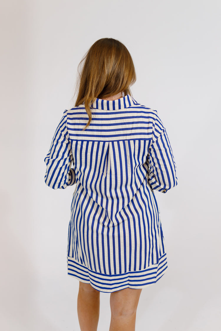 Blue Stripe Collared Half Button Mini Dress