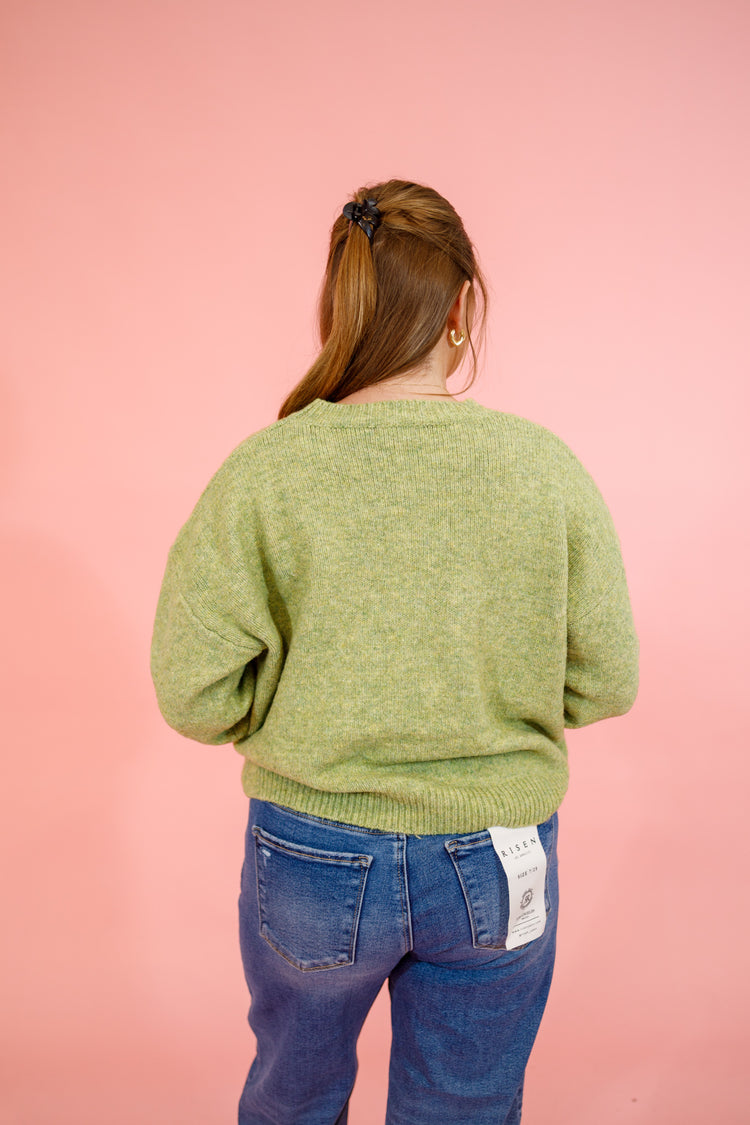 Spring Green Flying Duck Sweater
