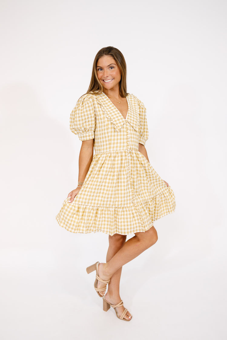 Beige Gingham Collar Dress