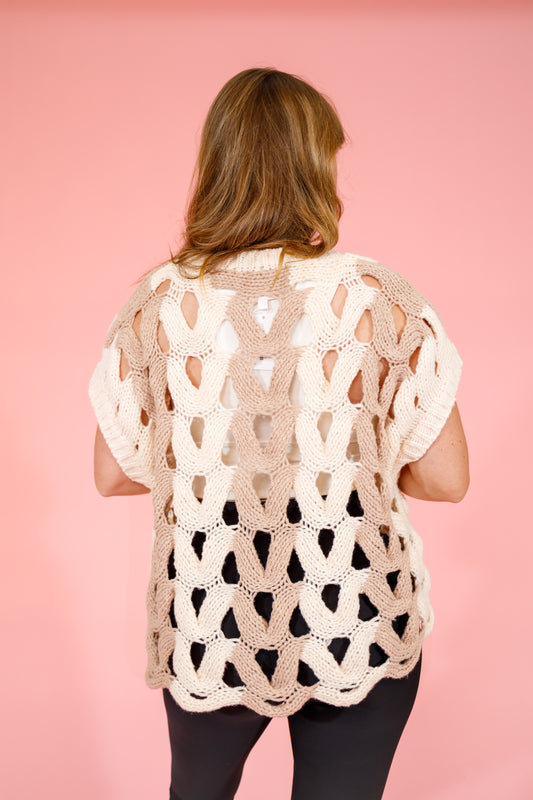 Oatmeal and Taupe Open Knit Sweater Top