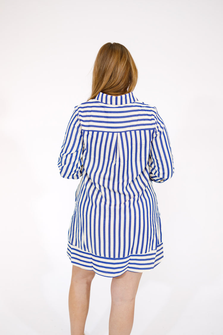 Blue Stripe Collared Half Button Mini Dress