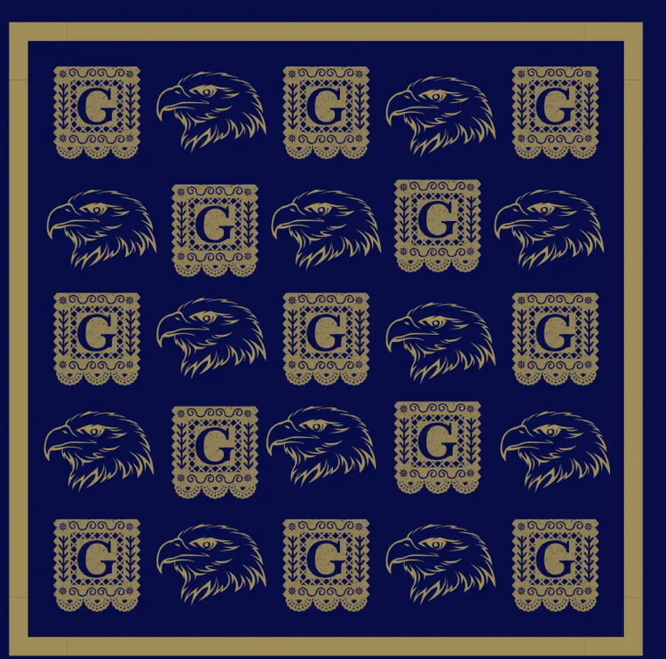 Georgia Southern Themed Scarves, VARIOUS